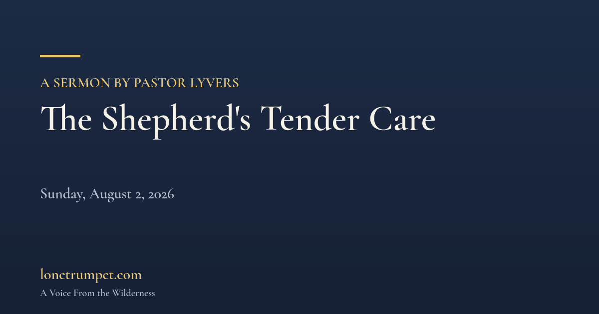 The Shepherd's Tender Care