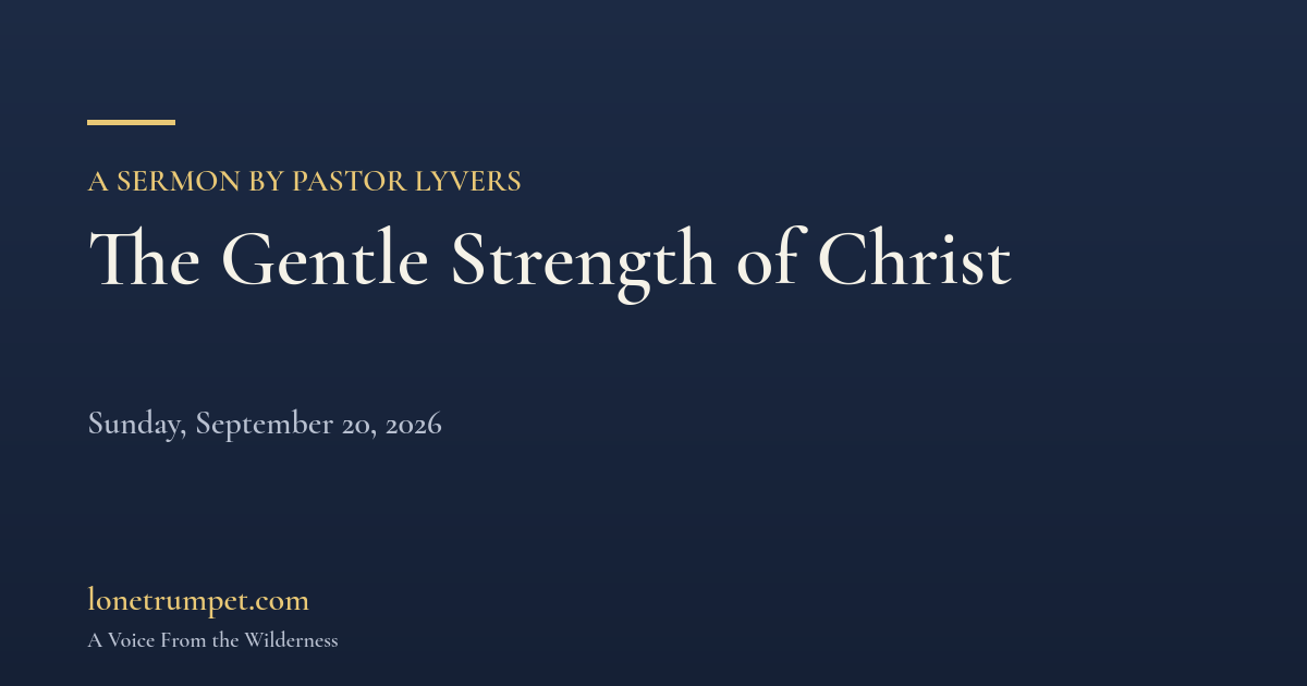 The Gentle Strength of Christ